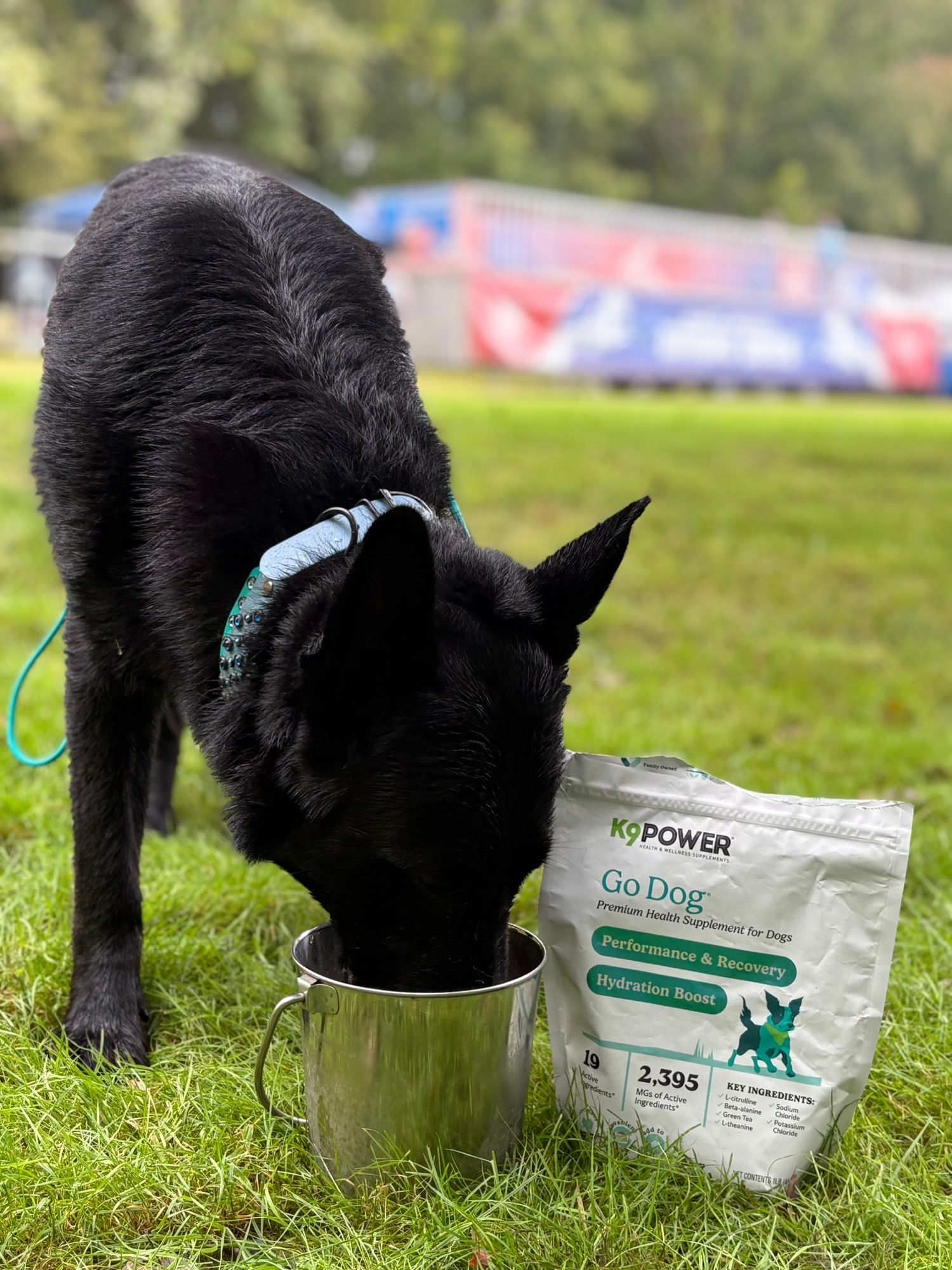 Go Dog Hydration Formula – Energize Hydrate Active Dogs