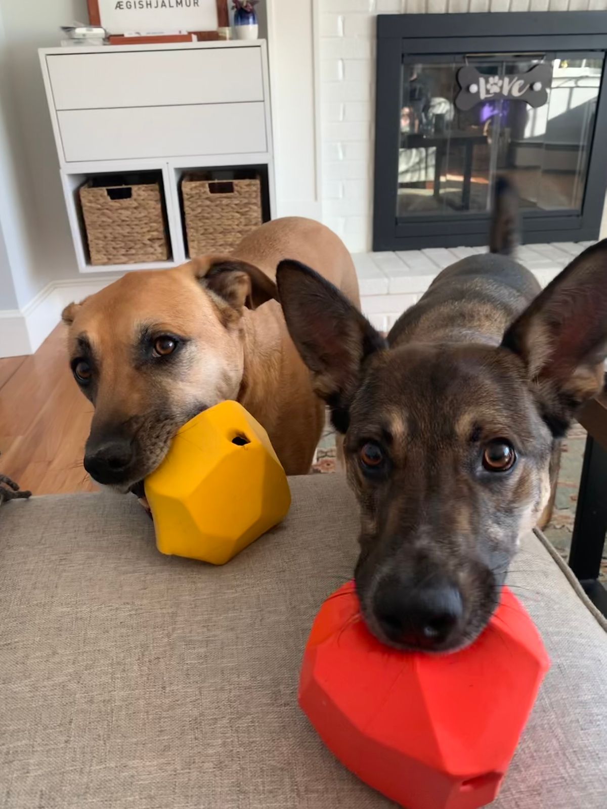 Gnawt-a-Rock™ Treat Dispensing Dog Toy Ruffwear