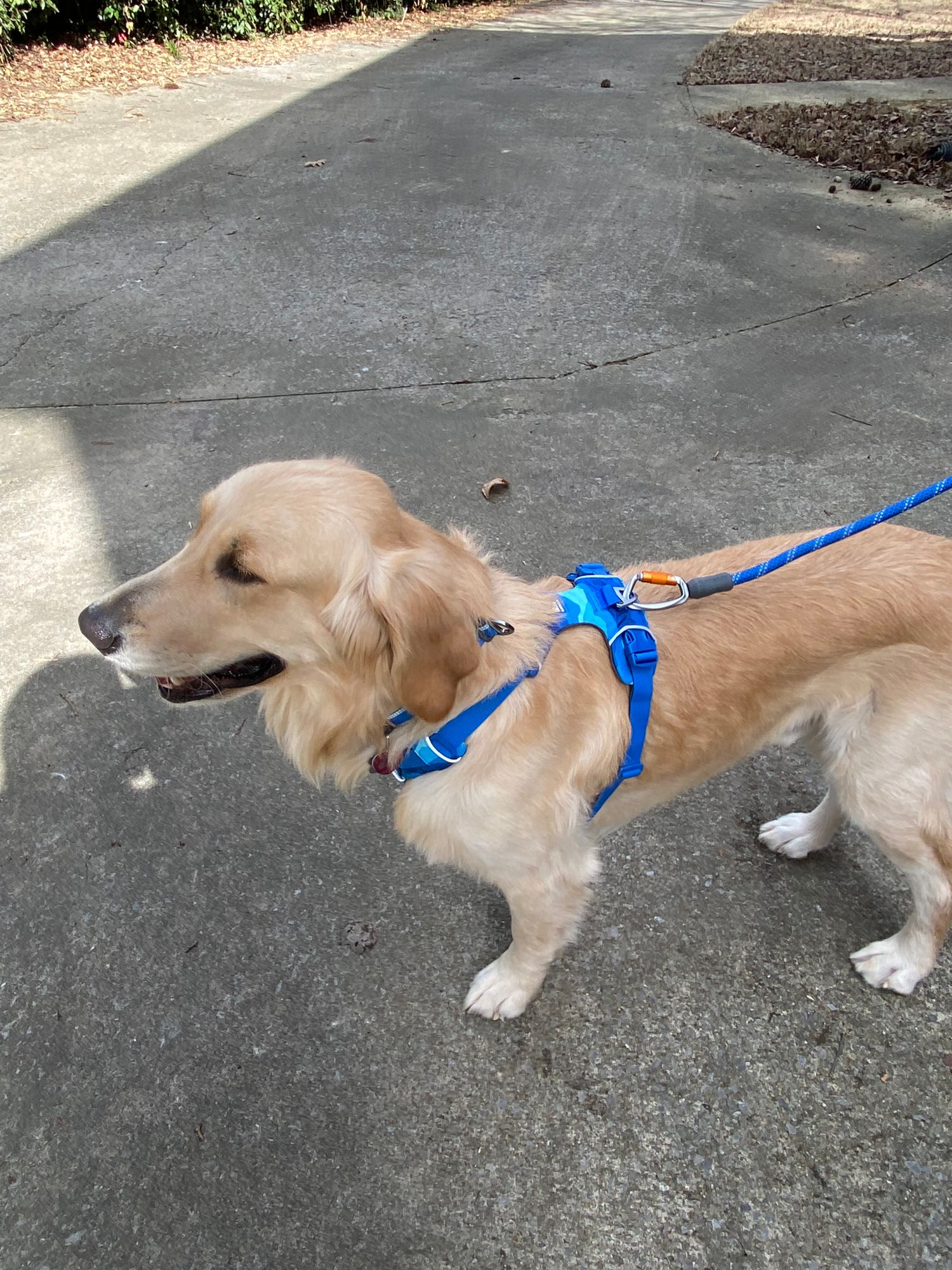 Knot-a-Leash™ Rope Dog Leash Ruffwear - Main Image