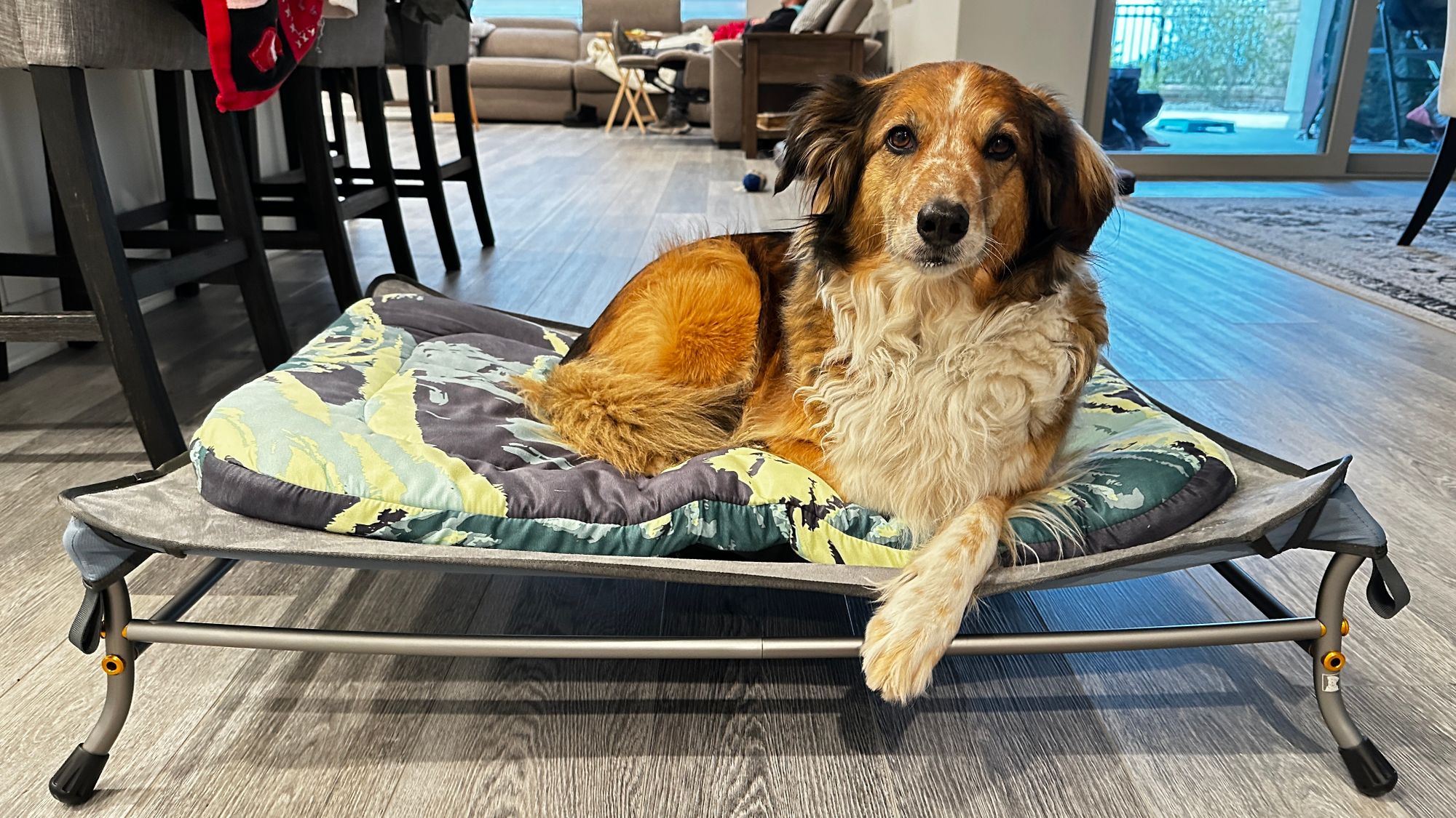 Basecamp™ Dog Bed Comfortable, Packable, Dog Crate Bed Ruffwear