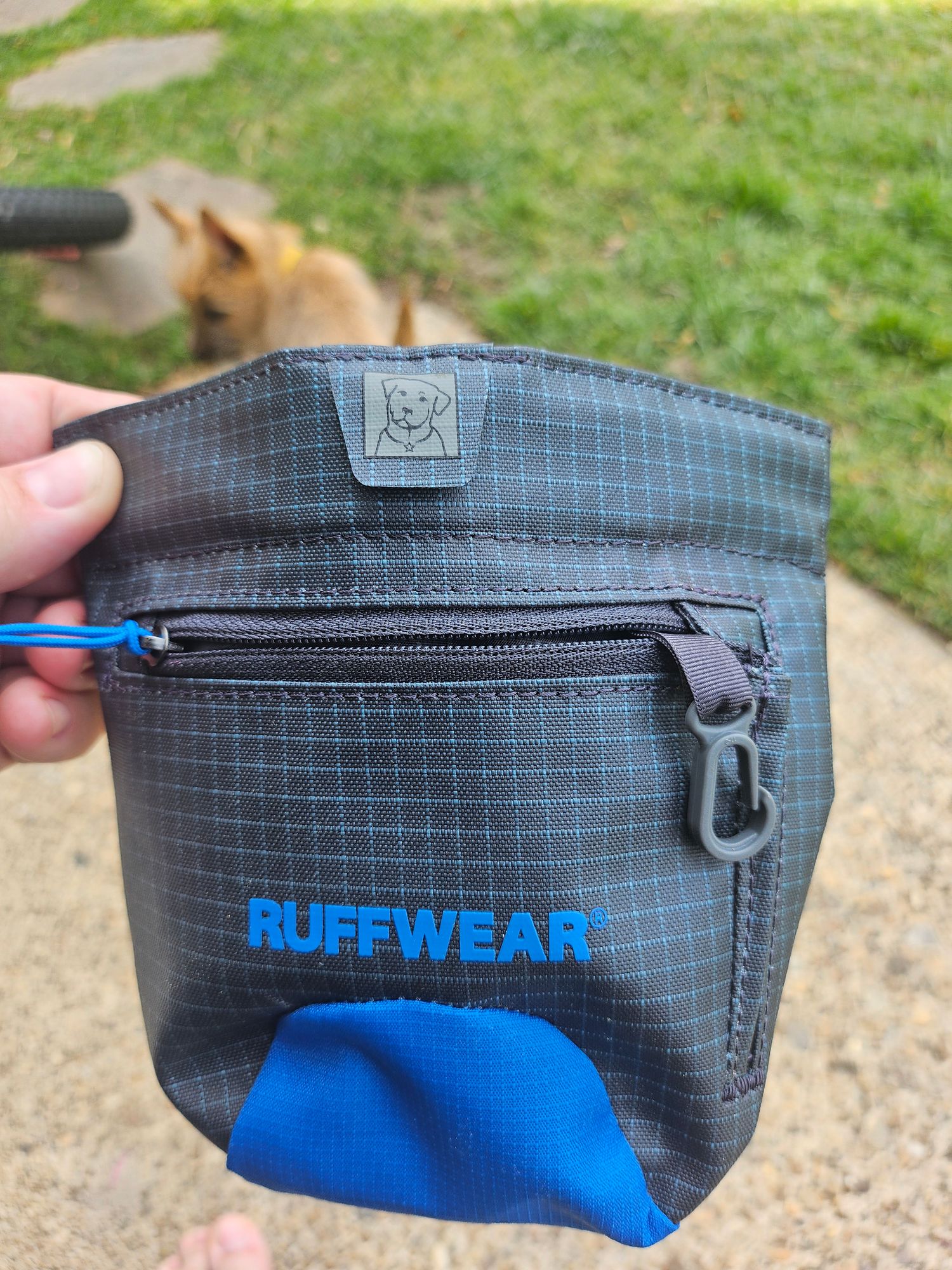 Laisse Pour Chien Dog Clicker For Training Ruffwear Treat Trader