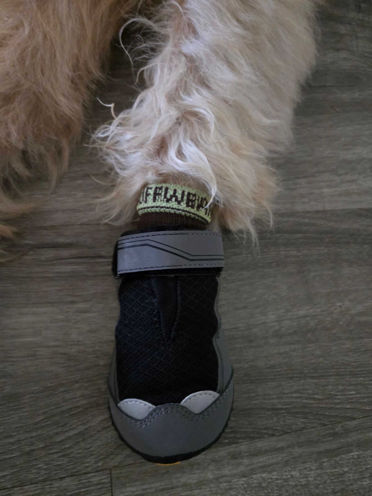 Grip Trex™ Dog Boots Durable All-Terrain Paw Protection Ruffwear