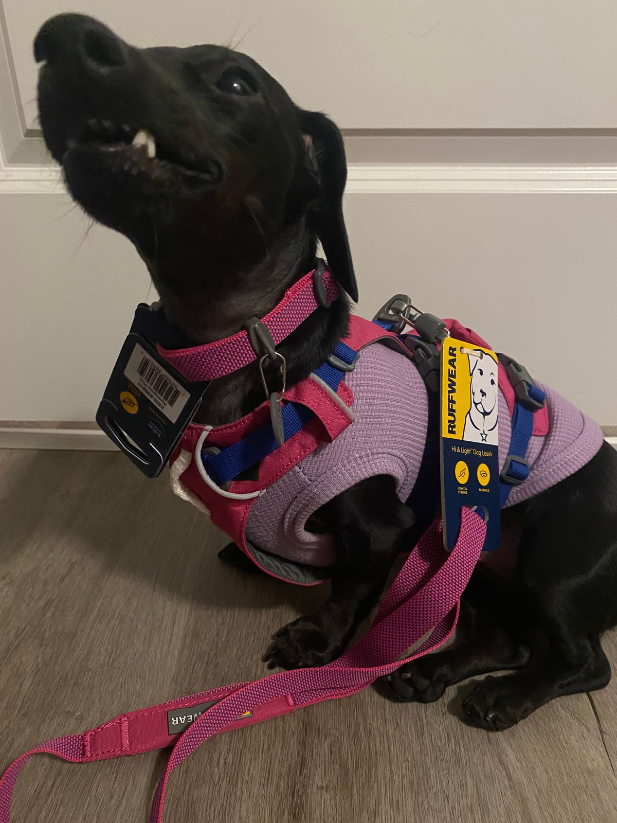 フラッグラインハーネス | 強力で軽量なリフト＆アシスト | Ruffwear JAPAN