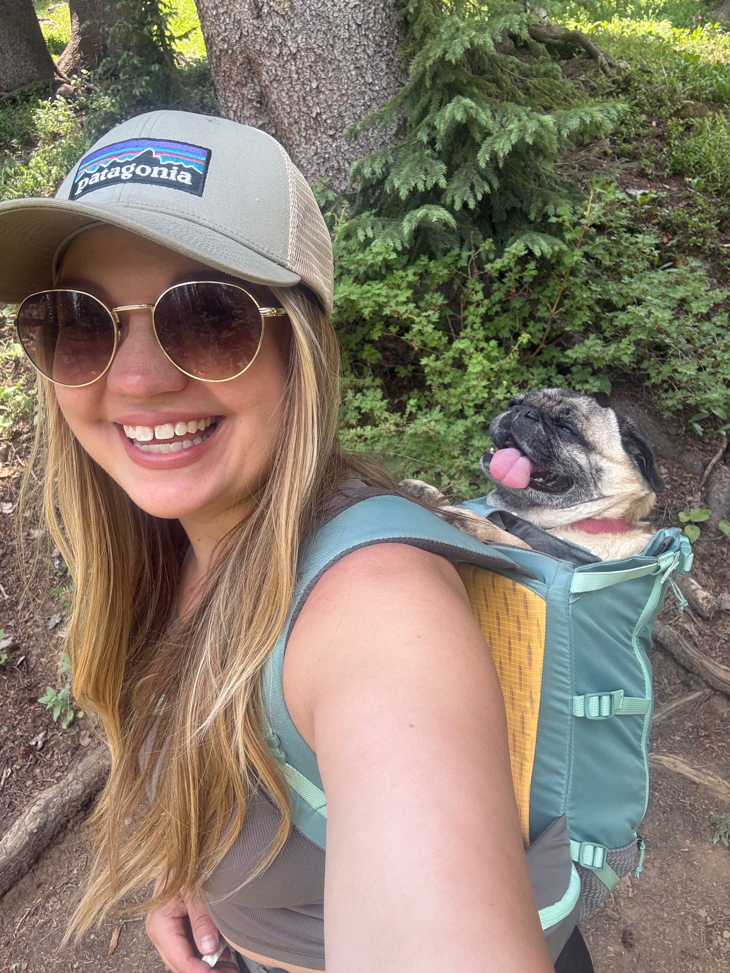 patagonia dog backpack Large Carrier Made in USA Colorado vet Hitch Hiker™ Dog Backpack Carrier