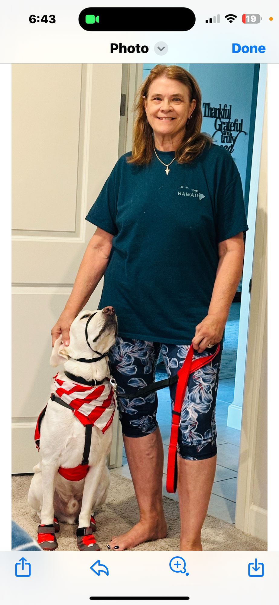 Dog Clothes for People: Fashion Trends You’ll Love