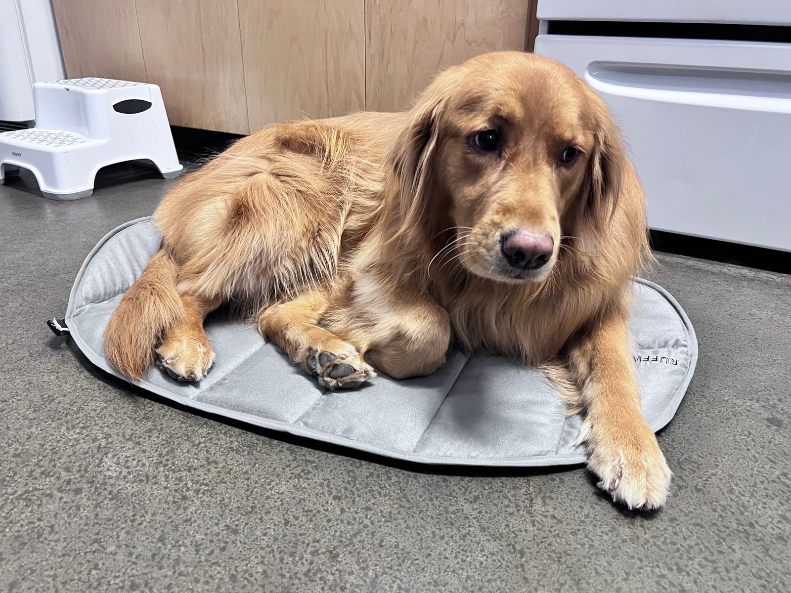 Highlands™ Dog Pad Backpacking Dog Bed Ruffwear