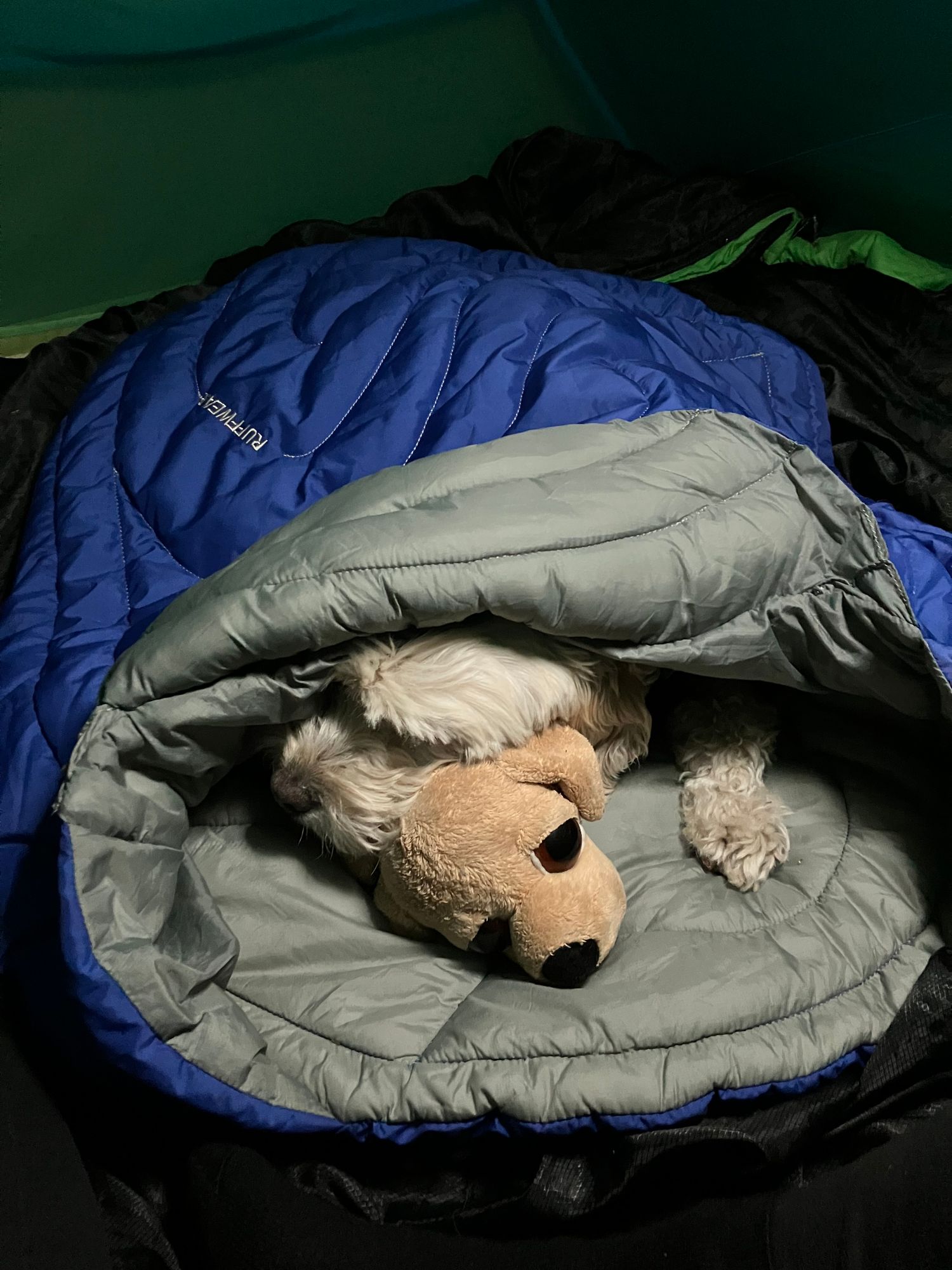 Ruffwear Avalanche Travelite Dog Sleeping Bag Highlands™ Dog Pad