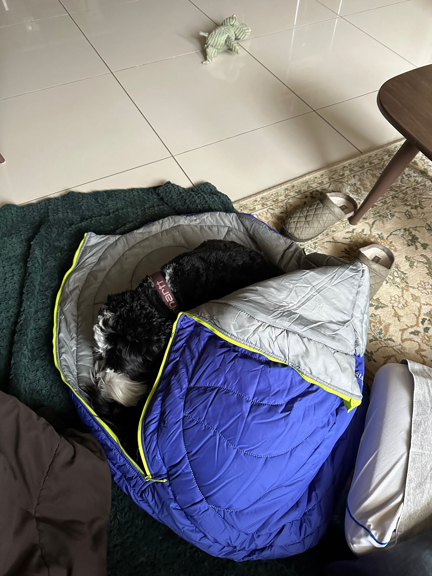 ハイランドスリーピングバッグ | Ruffwear JAPAN