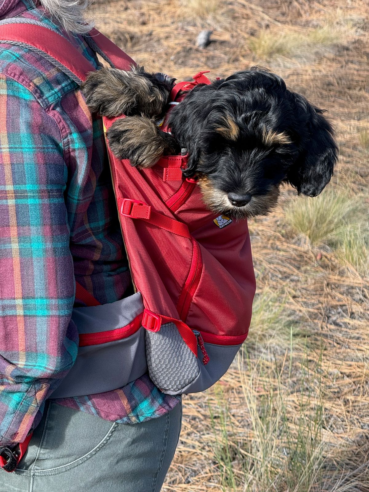 backpack for hiking with 22 pound dog FLAdorepet Tactical Carrier Front Back Bag Medium Dogs,L TARIGS MountainRock Backpack Hiking-Quality Dog Carrier Backpack -