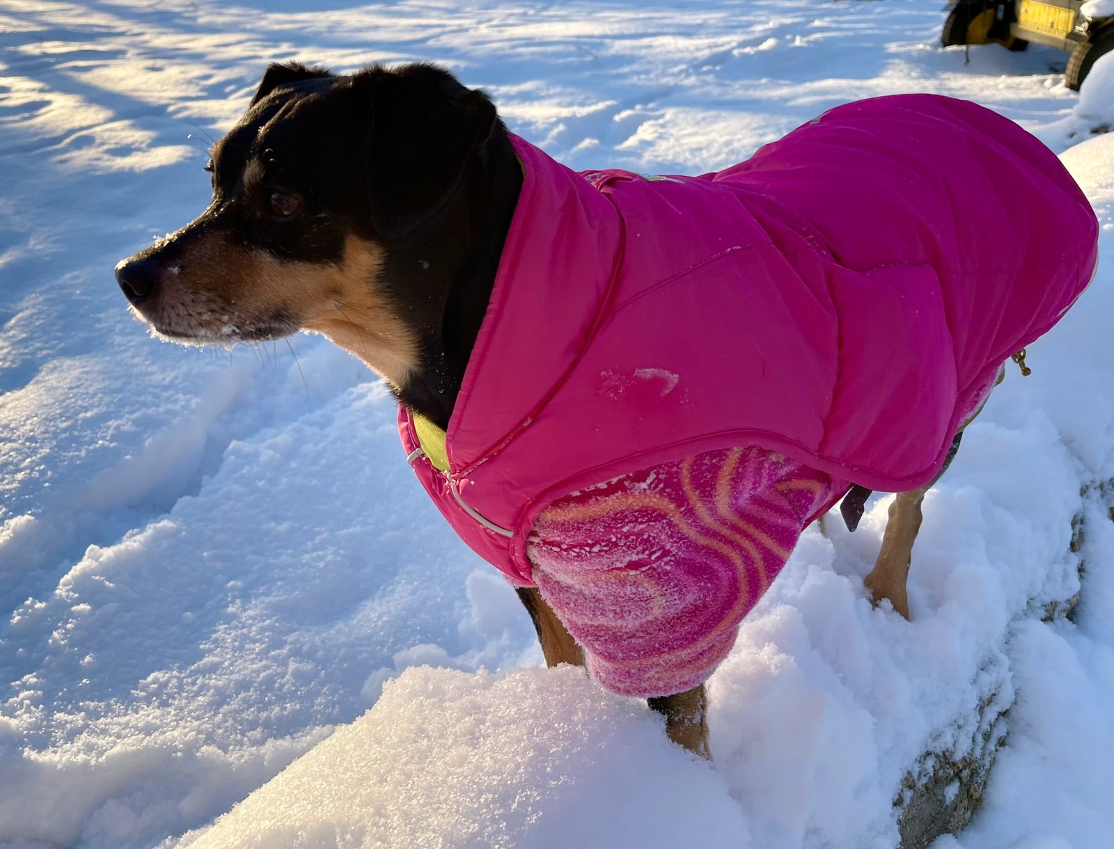 Quinzee™ Insulated Vest Packable Warmth Ruffwear