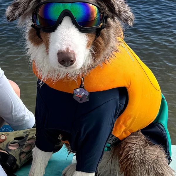 RUFFWEAR