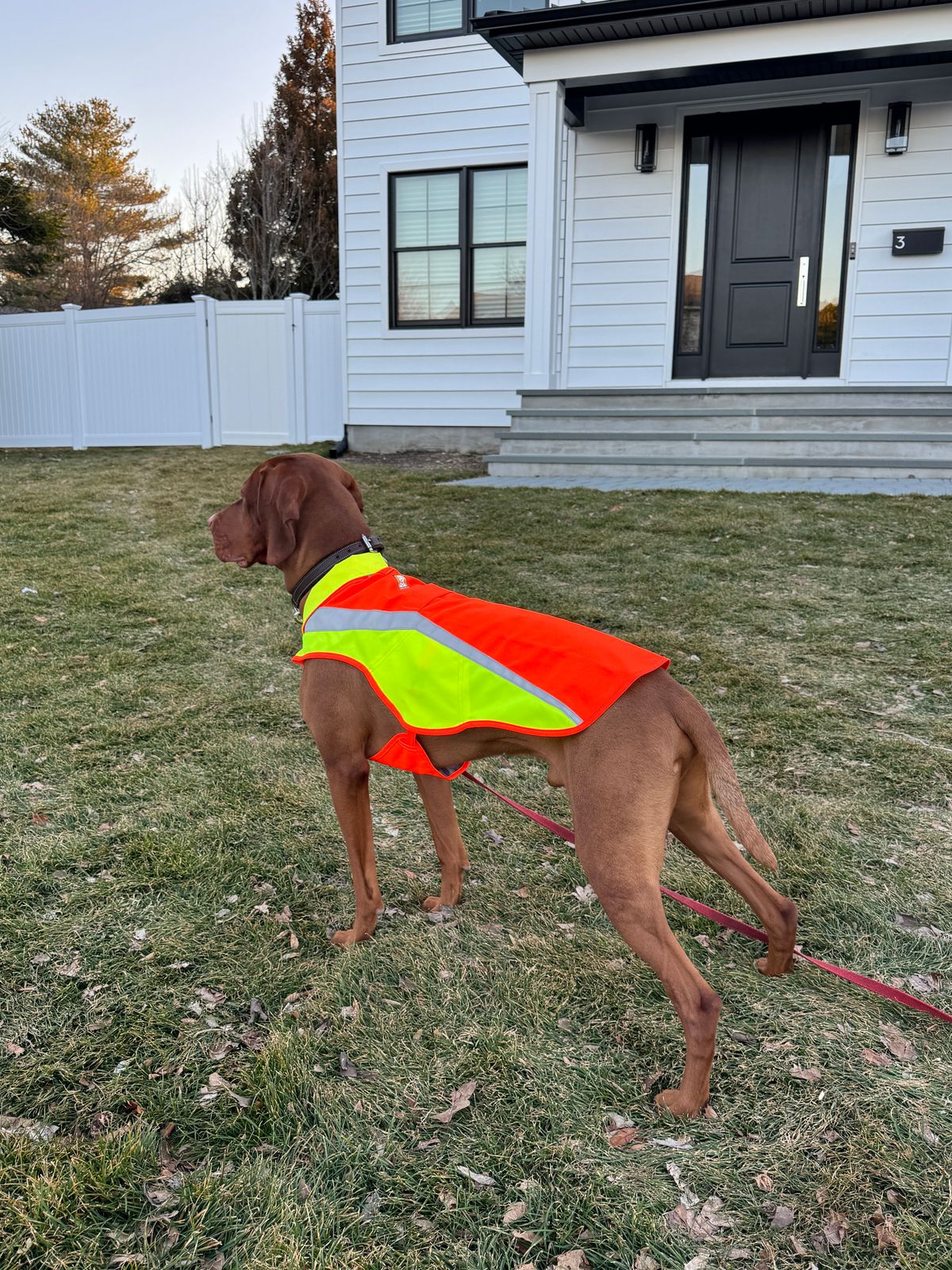 ルーメングロージャケット | Ruffwear JAPAN