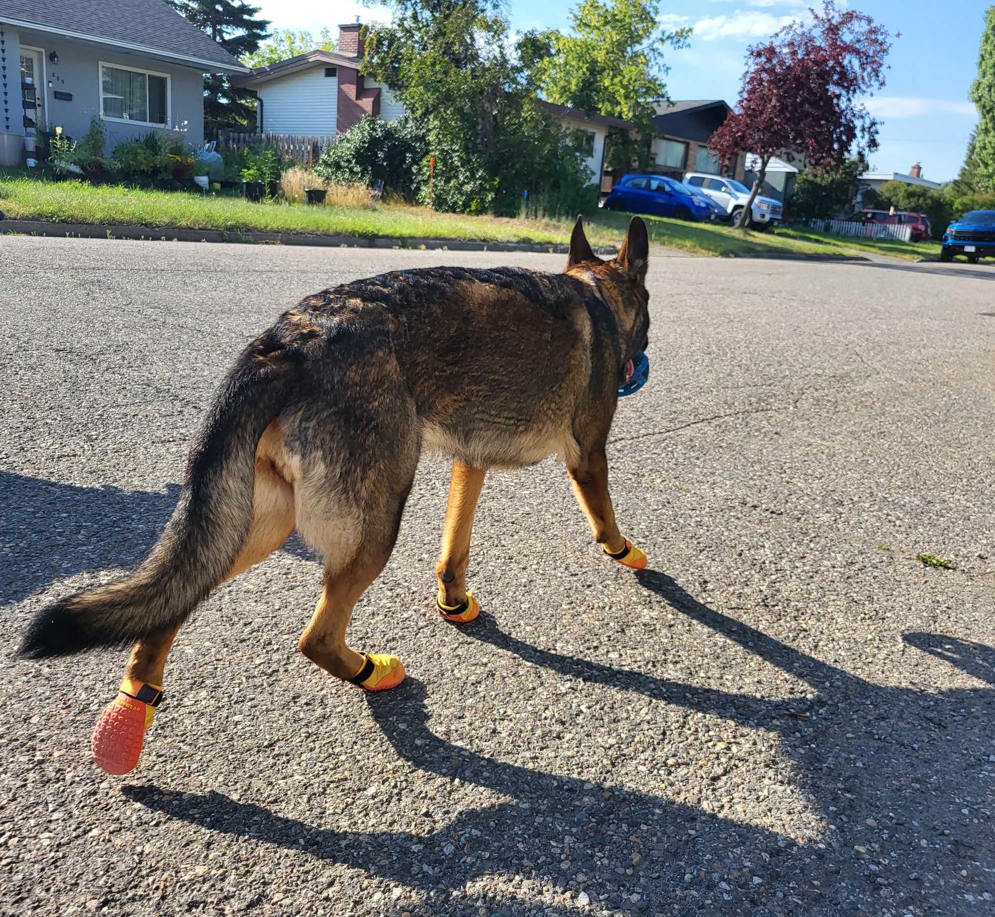 Base Lumineuse Attwood LightArmor Ronde 2 Broches 910R2PSB-1 – Pour Bateau Ranger, Noir/argent