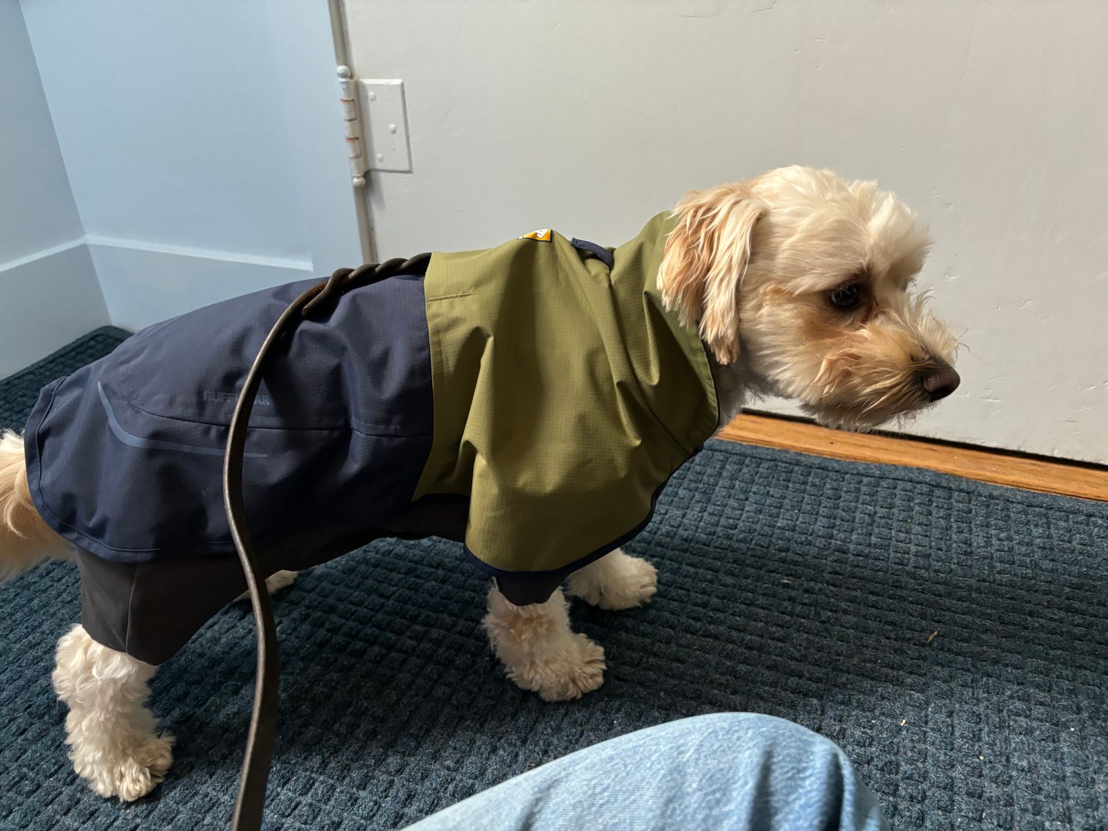 Sun Shower™ Coverall Dog Rain Suit Ruffwear