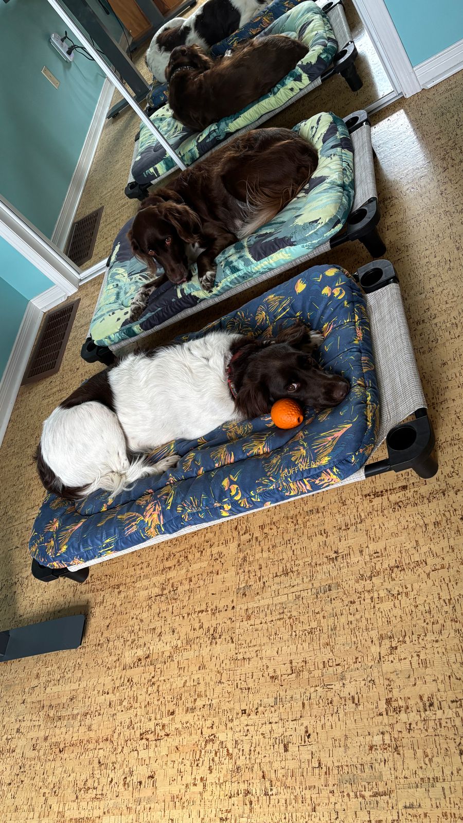 Basecamp™ Dog Bed Comfortable, Packable, Dog Crate Bed Ruffwear