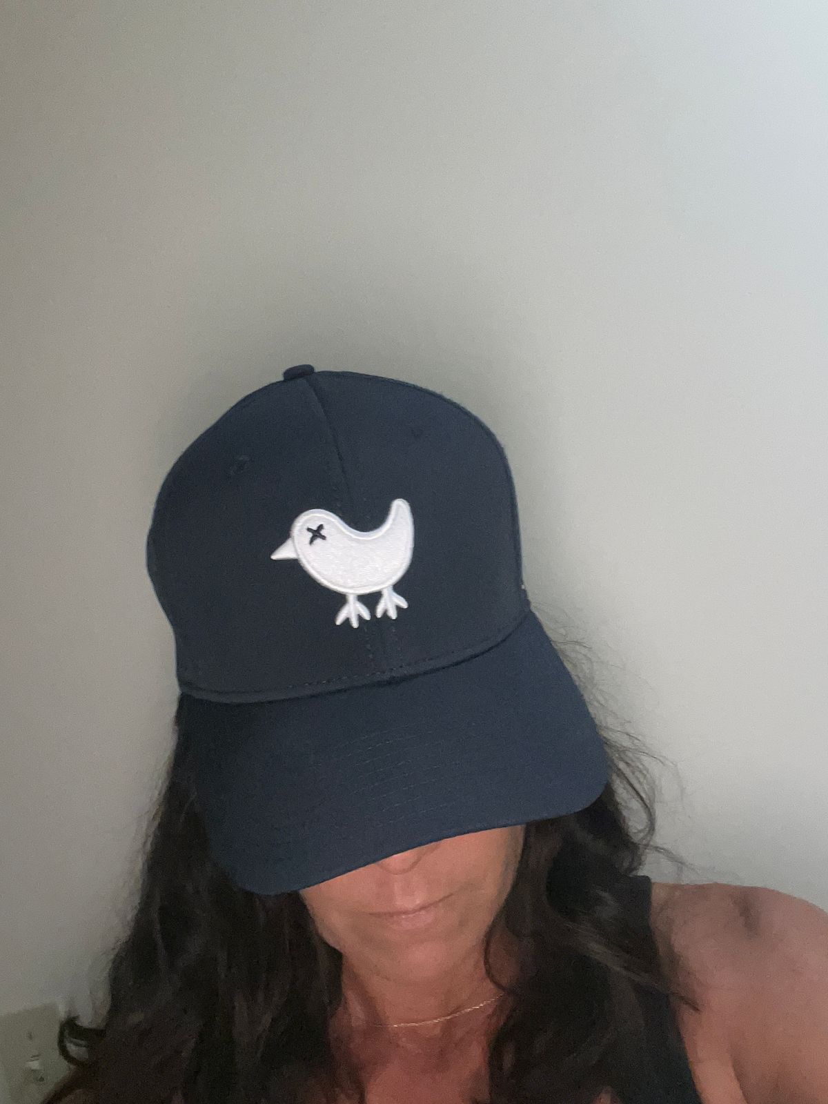 Birdie Snapback - Black – Bad Birdie