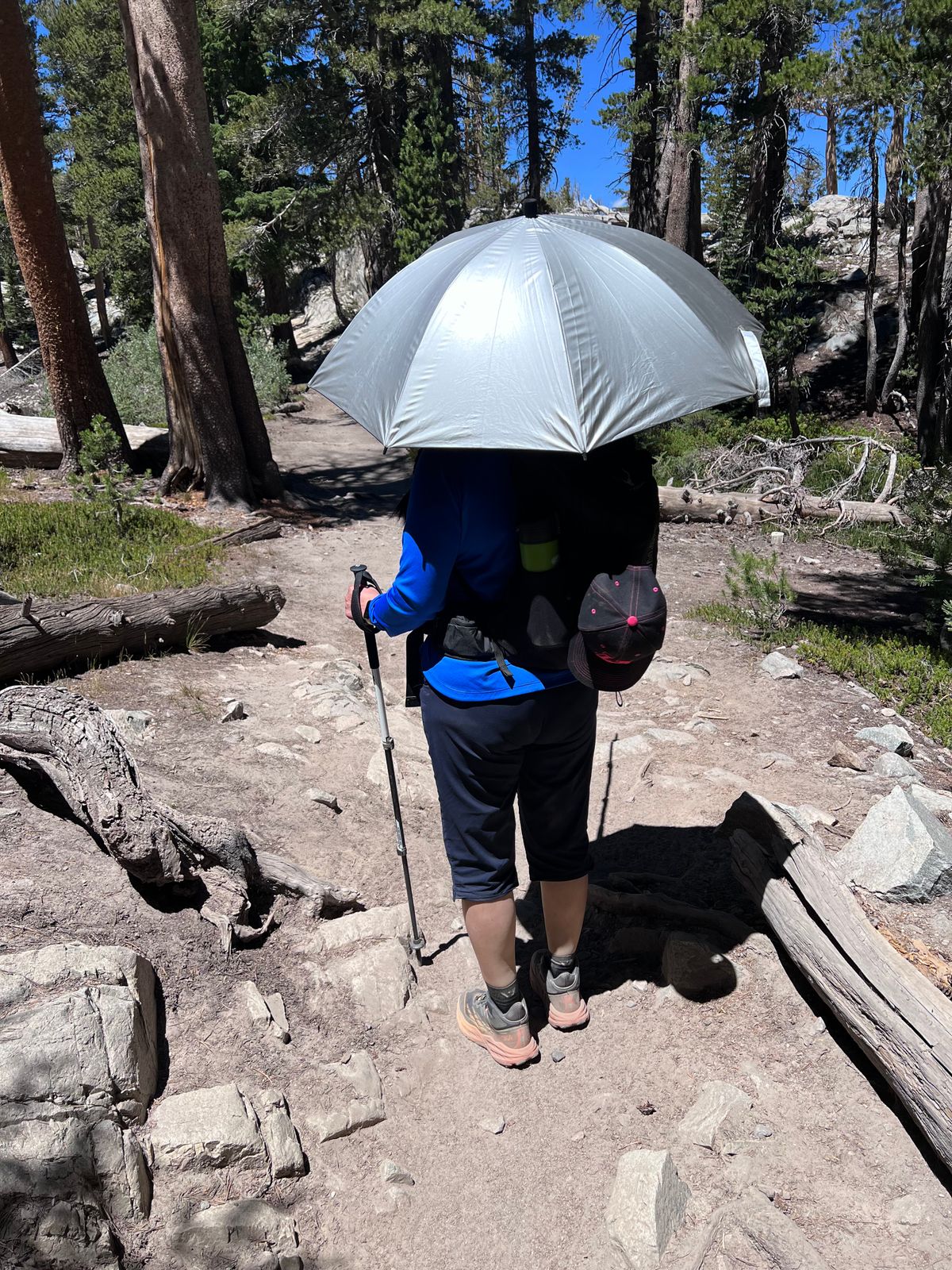 Silver Shadow Carbon Ultralight Umbrella - Six Moon Designs