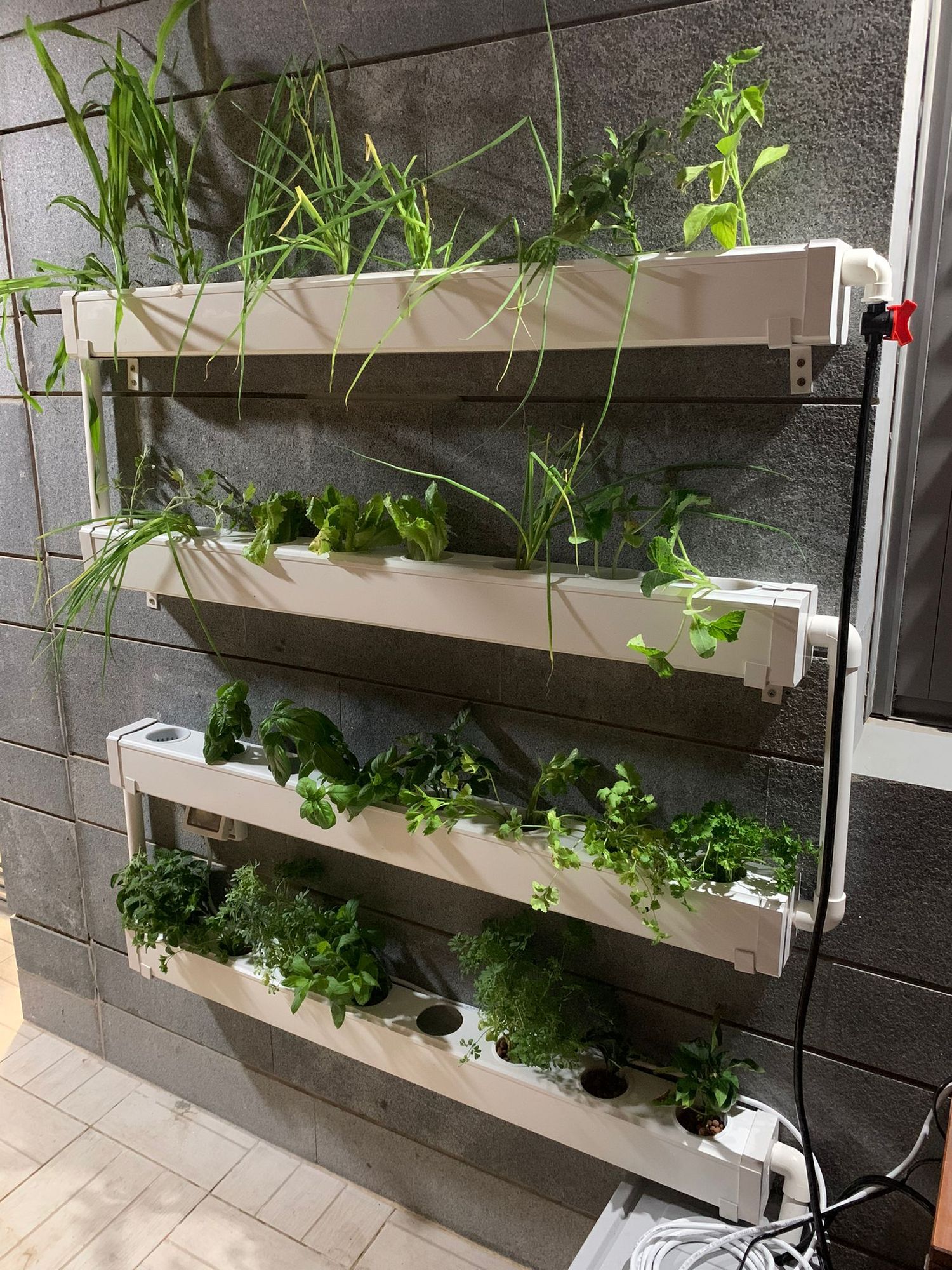 elevated indoor planter Petscosset Raised Garden Bed with Wheels, Mobile Wood Elevated Planter Box with Storage Shelf, Liner, Easy Assembly, Brown, 55.5x24x32in