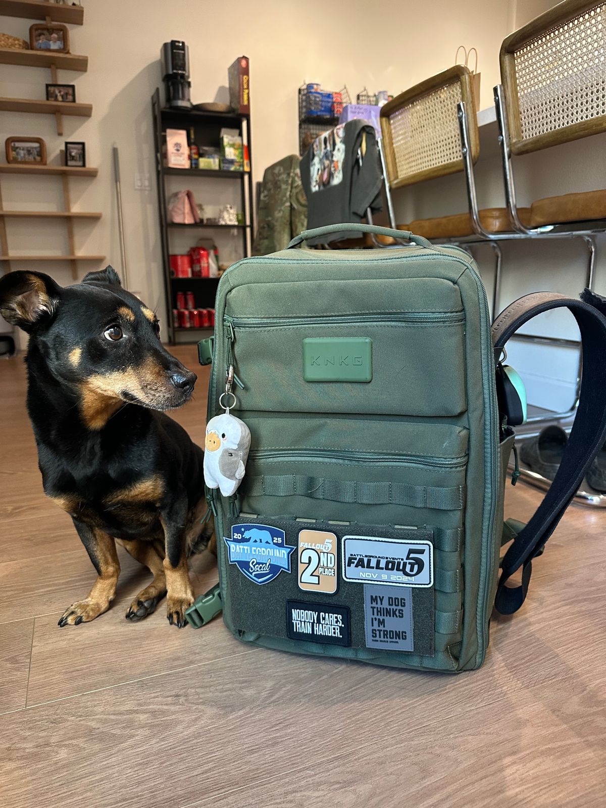 Compact Organized Backpack KNKG