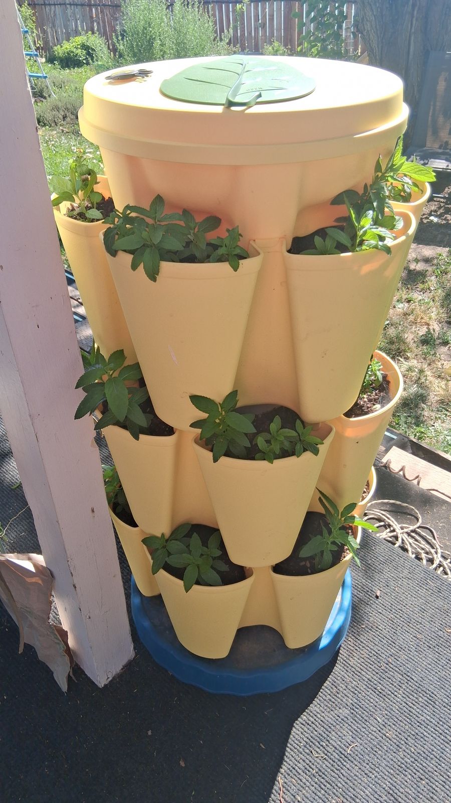 pro mix organic potting mix PRO-MIX CX Coco-Based Open Top Grow Bags  Evolve Garden Supply
