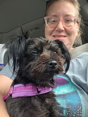 Customer-uploaded image. Click to see more details. The image represents: A woman wearing glasses holds a small black dog with a pink collar in a car. Both are smiling at the camera.