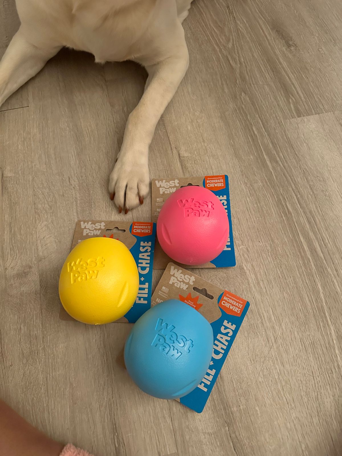 leasote 6Pcs/Set Smiling Dog Ball Toy, Fun Pet Toy with Human Smile Design and Squeaker, Doggies Tooth Chew Toy A leasote 6Pcs/Set Smiling Dog Ball Toy, Fun Pet Toy with Human Smile Design and Squeaker, Doggies Tooth Chew Toy A