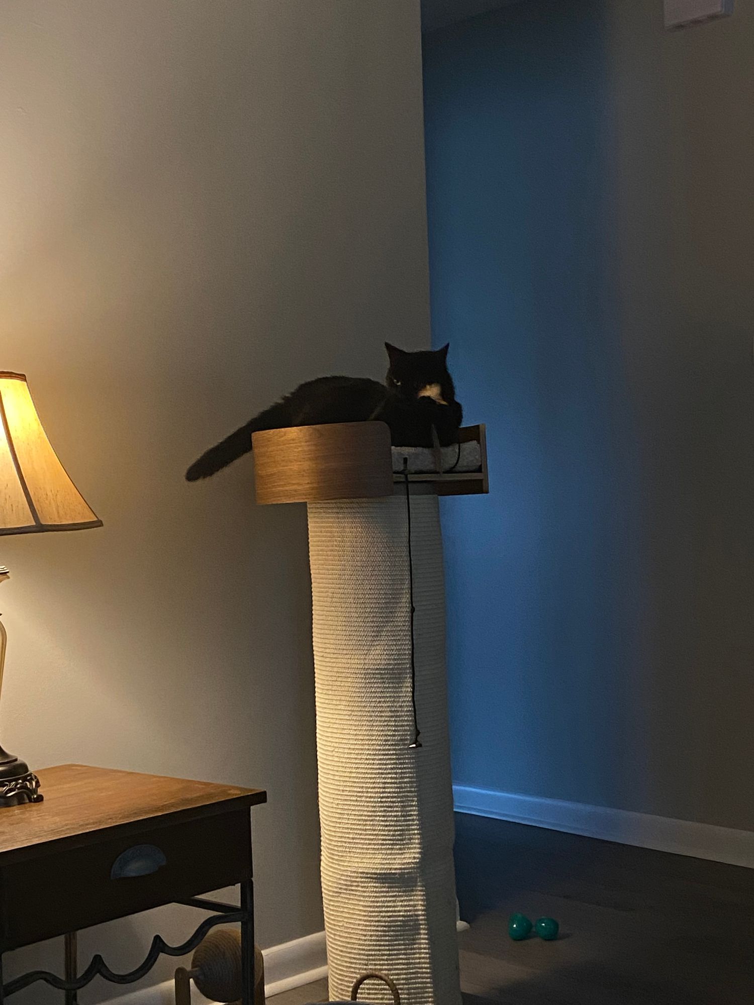 Giant Scratching Tower by One Fast Cat