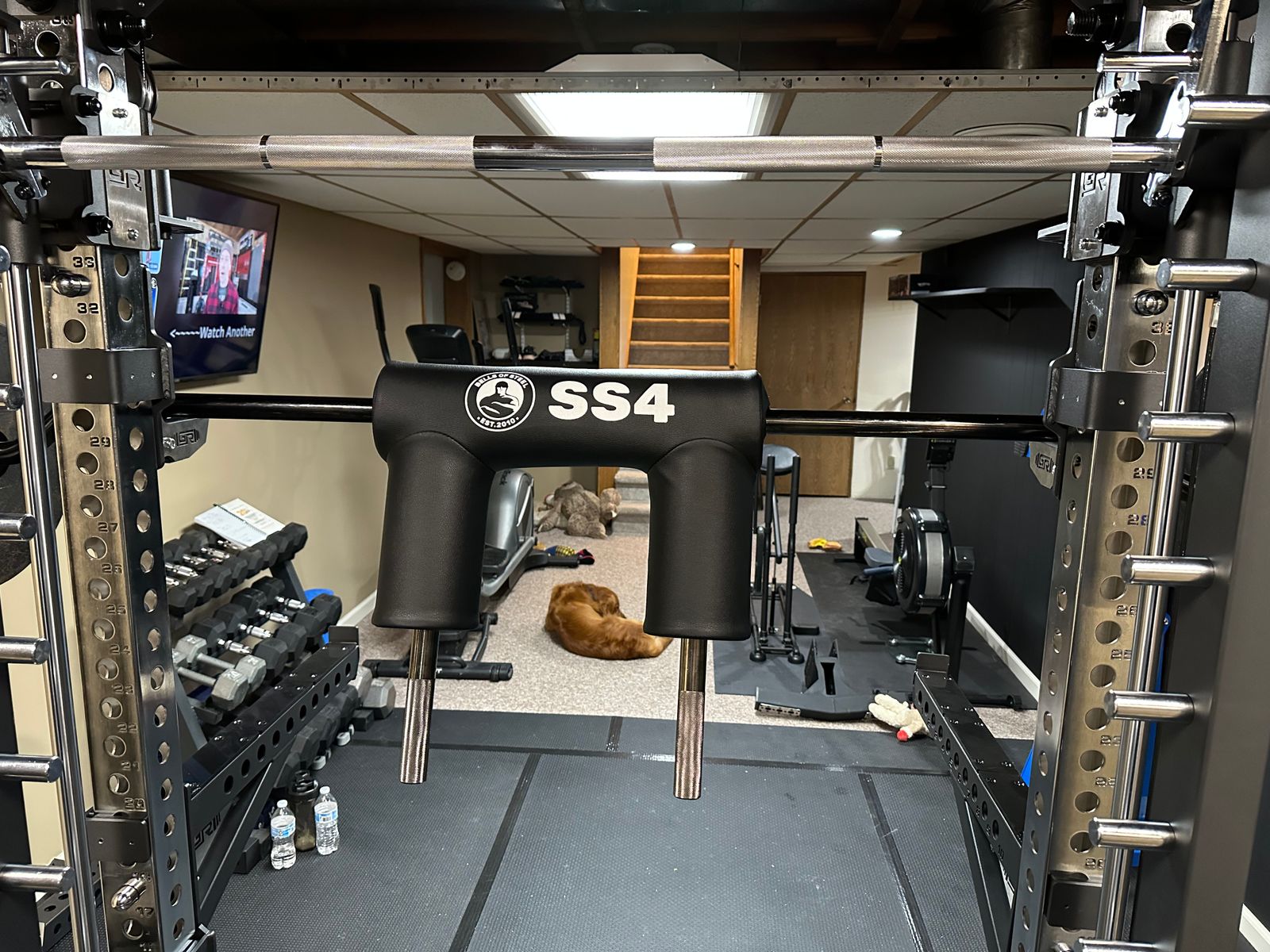 Customer photo shared by Shea K.