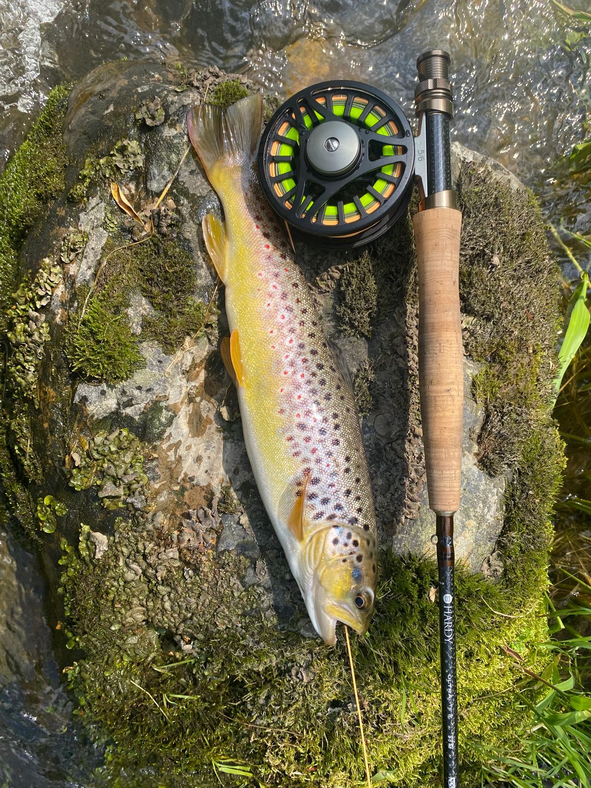 Fishing Gear Best Small Stream Fly Rod Small Stream Trout Kit