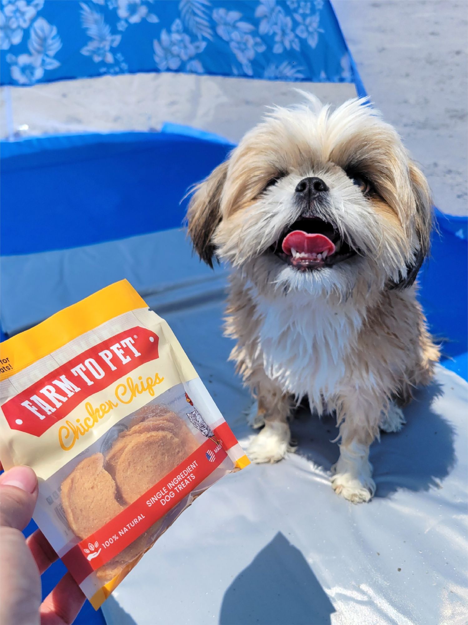 Dog Treats Snacks For Shih Tzu Dog Treats Best Homemade Dog Food