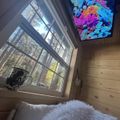 A cozy bedroom corner with a large window overlooking trees, a white fluffy bedspread, and a wall-mounted TV displaying a colorful underwater scene with coral and marine life.
