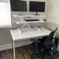 A clean white office workspace with a height-adjustable desk converter, dual monitors, black ergonomic chair, and hardwood flooring near a window with blinds.