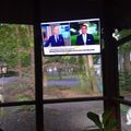 View through a window showing a residential street with trees and houses, with a TV mounted above displaying a news program featuring two men in suits