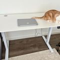 Orange and white cat sitting on white desk next to laptop computer, with another cat visible on floor below