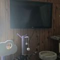 A living room interior with a flat-screen TV mounted on a wooden wall panel, with cat furniture and toys positioned below it on the floor.