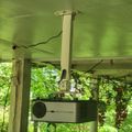 A projector mounted on a ceiling mount under a green-tinted covered outdoor area with lush green foliage visible in the background