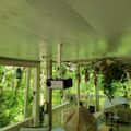 Covered porch with green ceiling, hanging plants, furniture, and lush forest view through railings