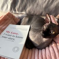 Cat with book