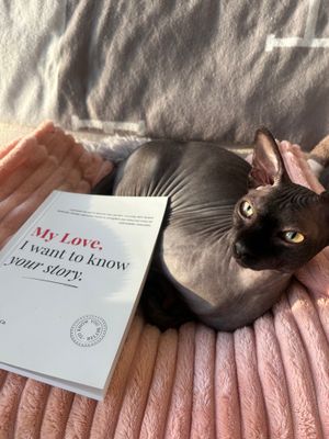 Cat with book