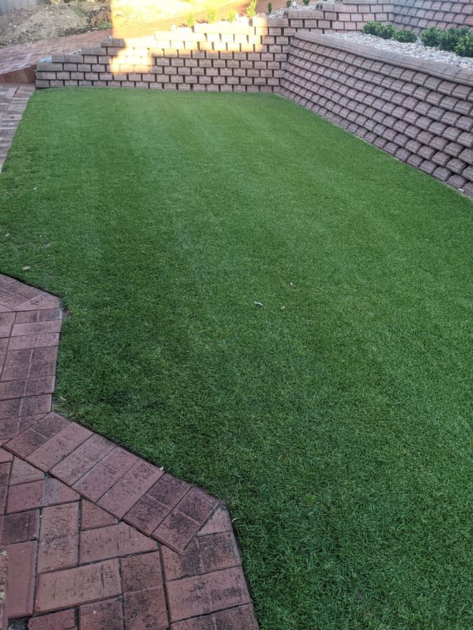 Landscaped backyard with lush green lawn after the bundle