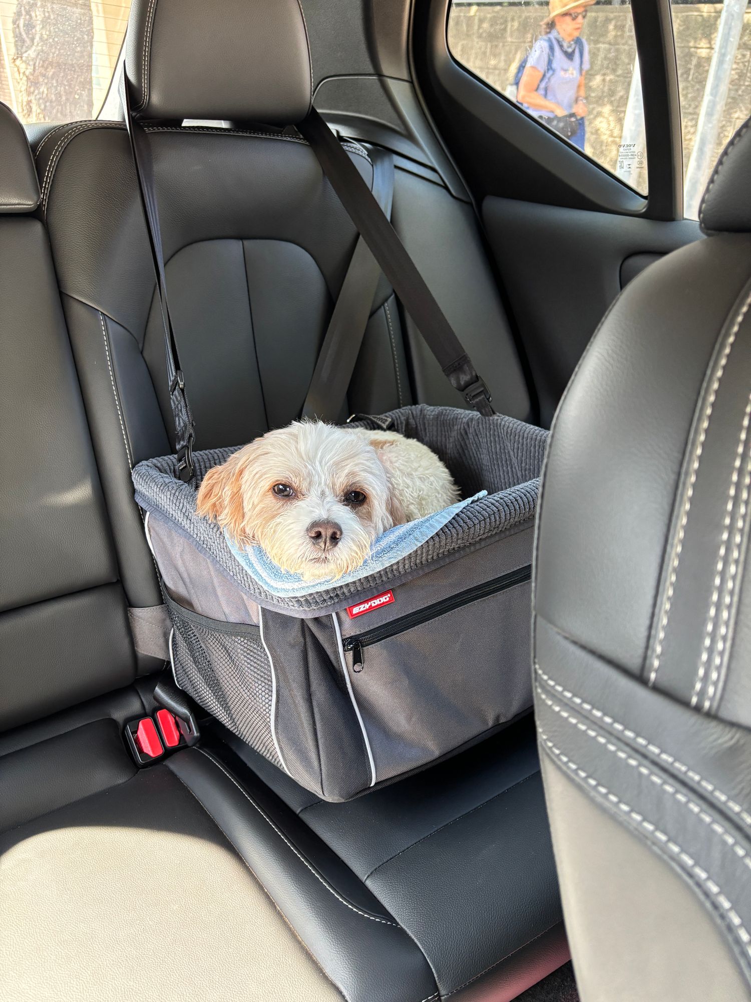 Dog Booster Seat Secure Comfortable Car Seats for Dogs
