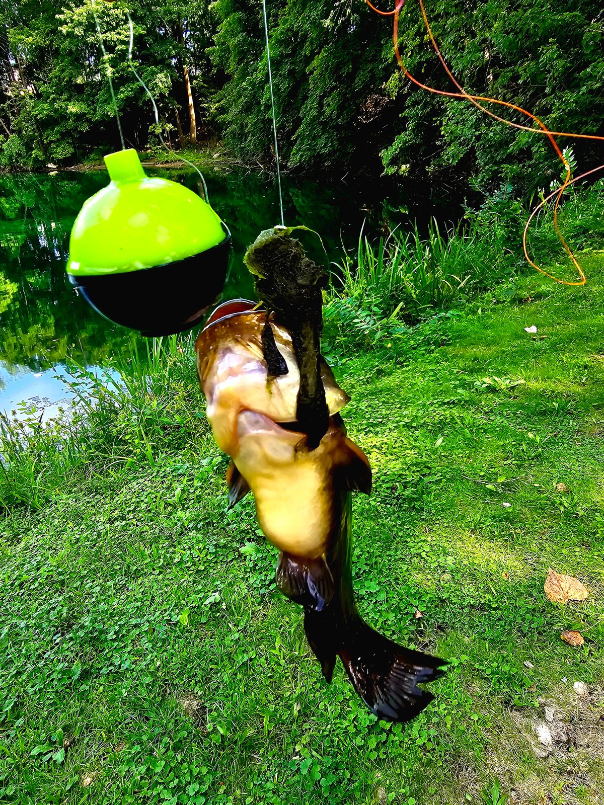 Ike Dude Spinning Combo Ike Dude Spinning Combo