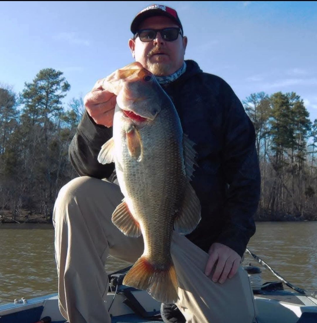 Abu Garcia Ambassadeur 6000 6500 6600 Chrome Thumb Rest P/N