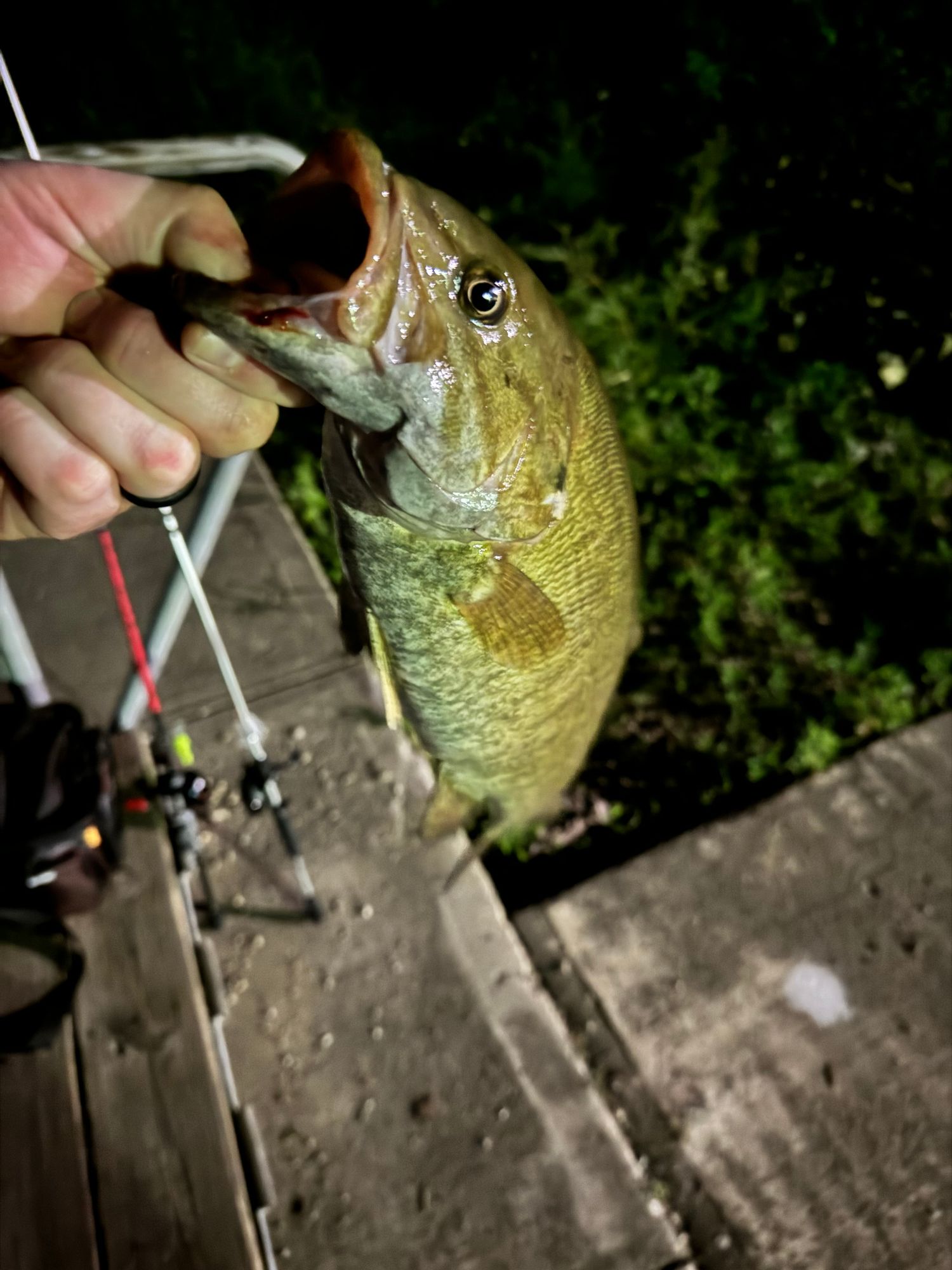 Combo Da Pesca Abu Garcia Max PRO - Canna 1.98m, Mulinello Casting, Per Pesci Predatori, 15-60g - Foto 8