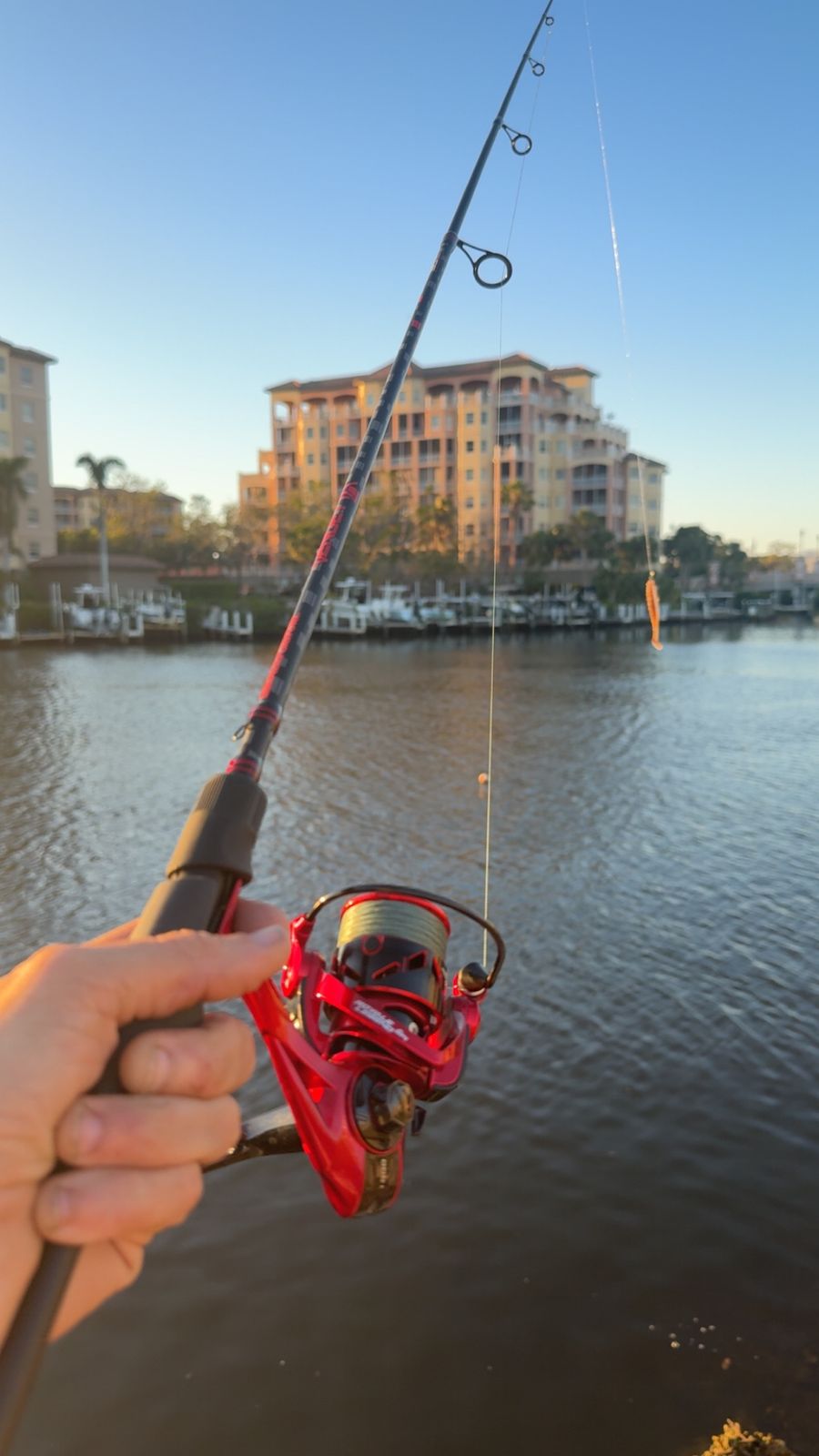http www.basspro.com st-croix-legend-elite-spinning-rod product 2245875 St. Croix Legend Elite Spinning Rods