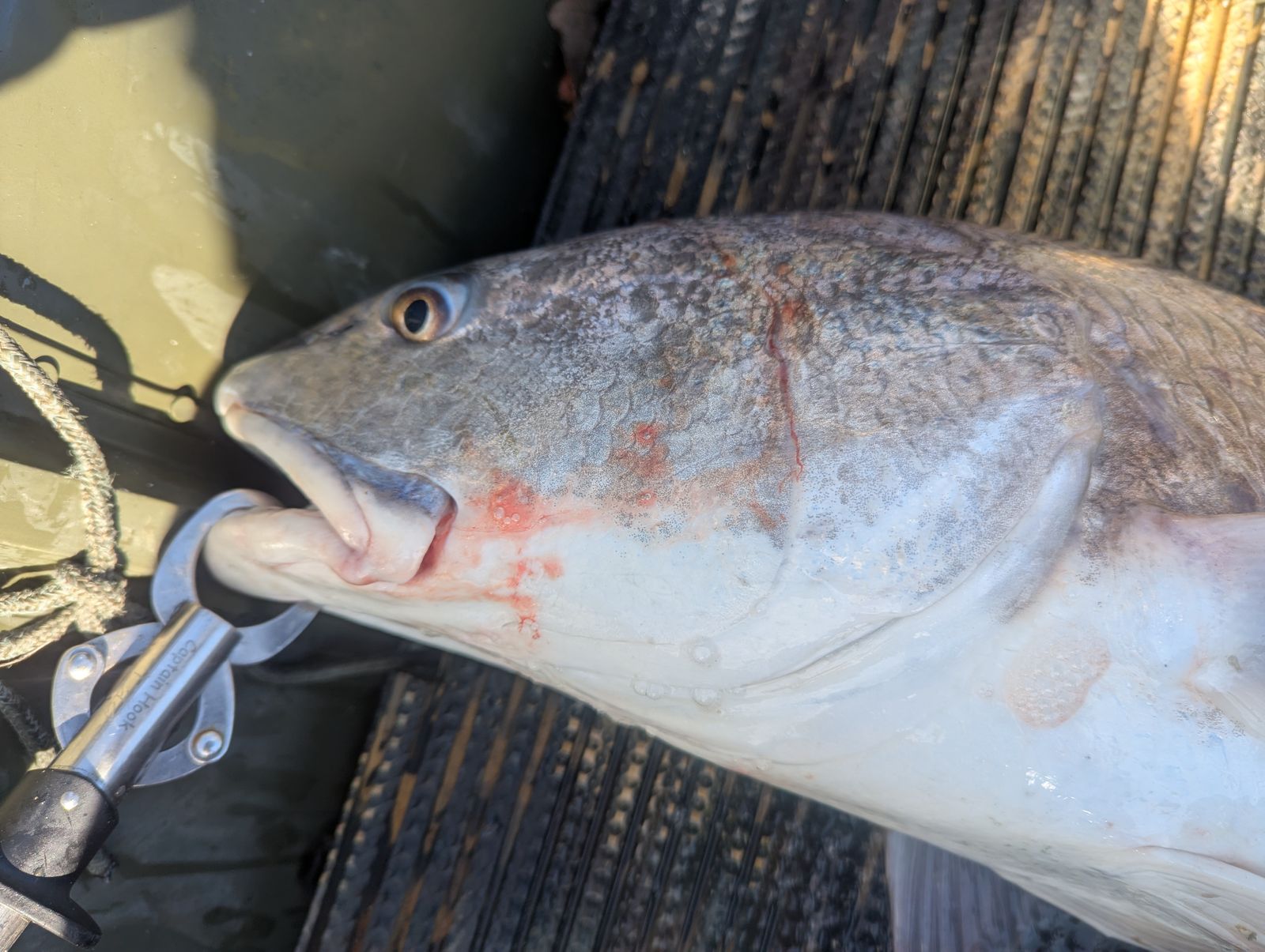 Vengeance Spinning Rod