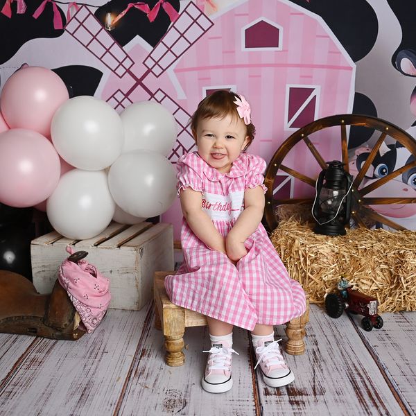 smocked birthday dress 2t Bamboo Twirl Bodysuit Dress in Silly Goose by Kyte Baby