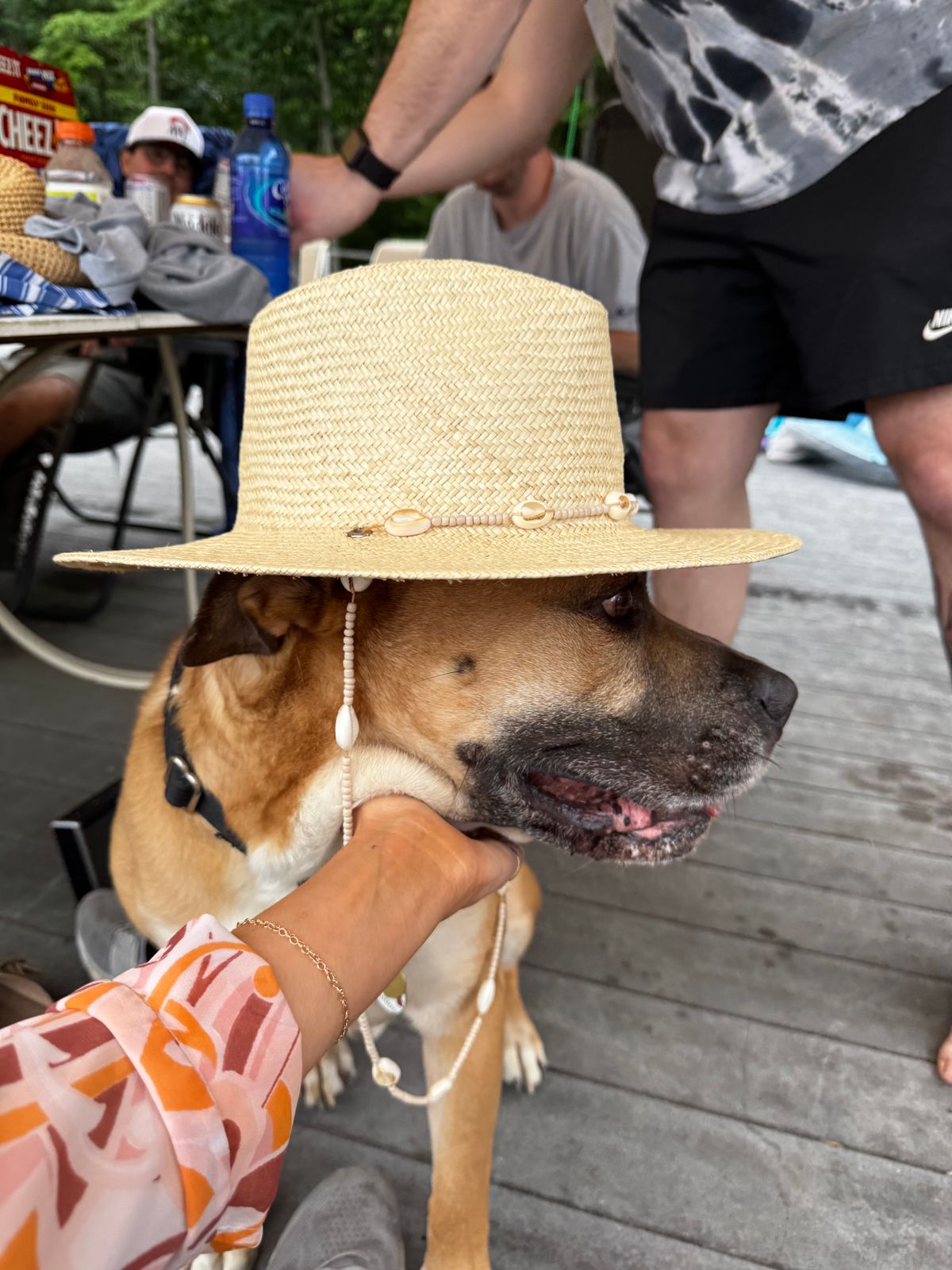 lack of color paradise natural shell beaded straw fedora summer sun hat medium Lack of Color Women main image 3