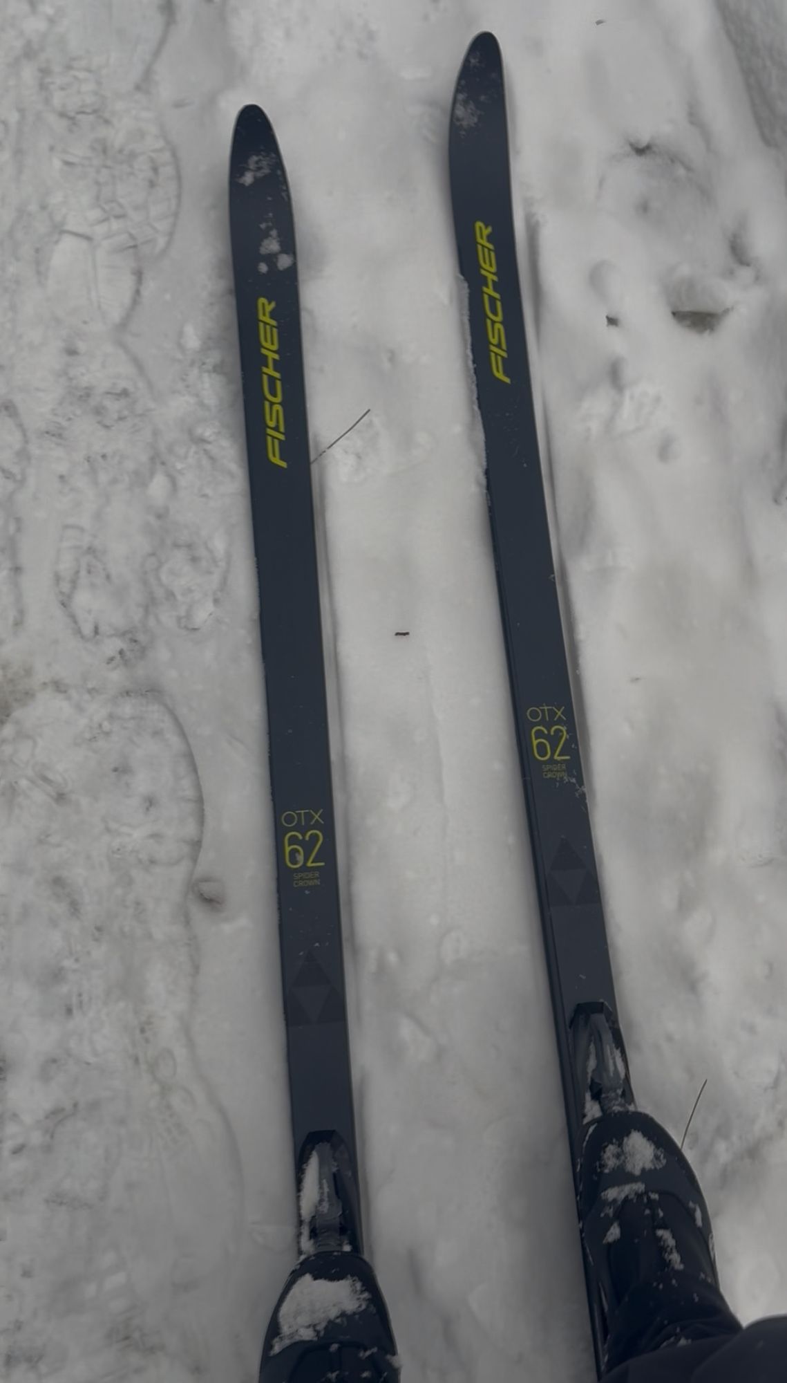 145 cm cross country ski poles Cross Country Ski Poles Swix ST102 Nordic Standard Aluminum Ski Poles