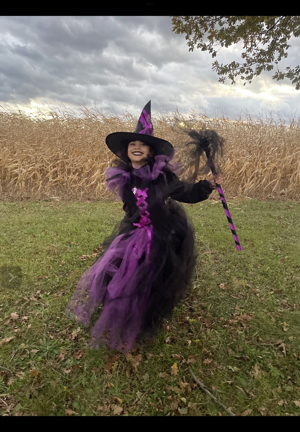 purple witch dress Kiddokids Costume for Girls- Light-Up with Hat & Broom Accessories, Halloween Costume Set for 3-12 Years, Witch Outfit for Halloween Parties & Role Play : Toys & Games she clearly is a powerful mage Vera the Velvet Witch with